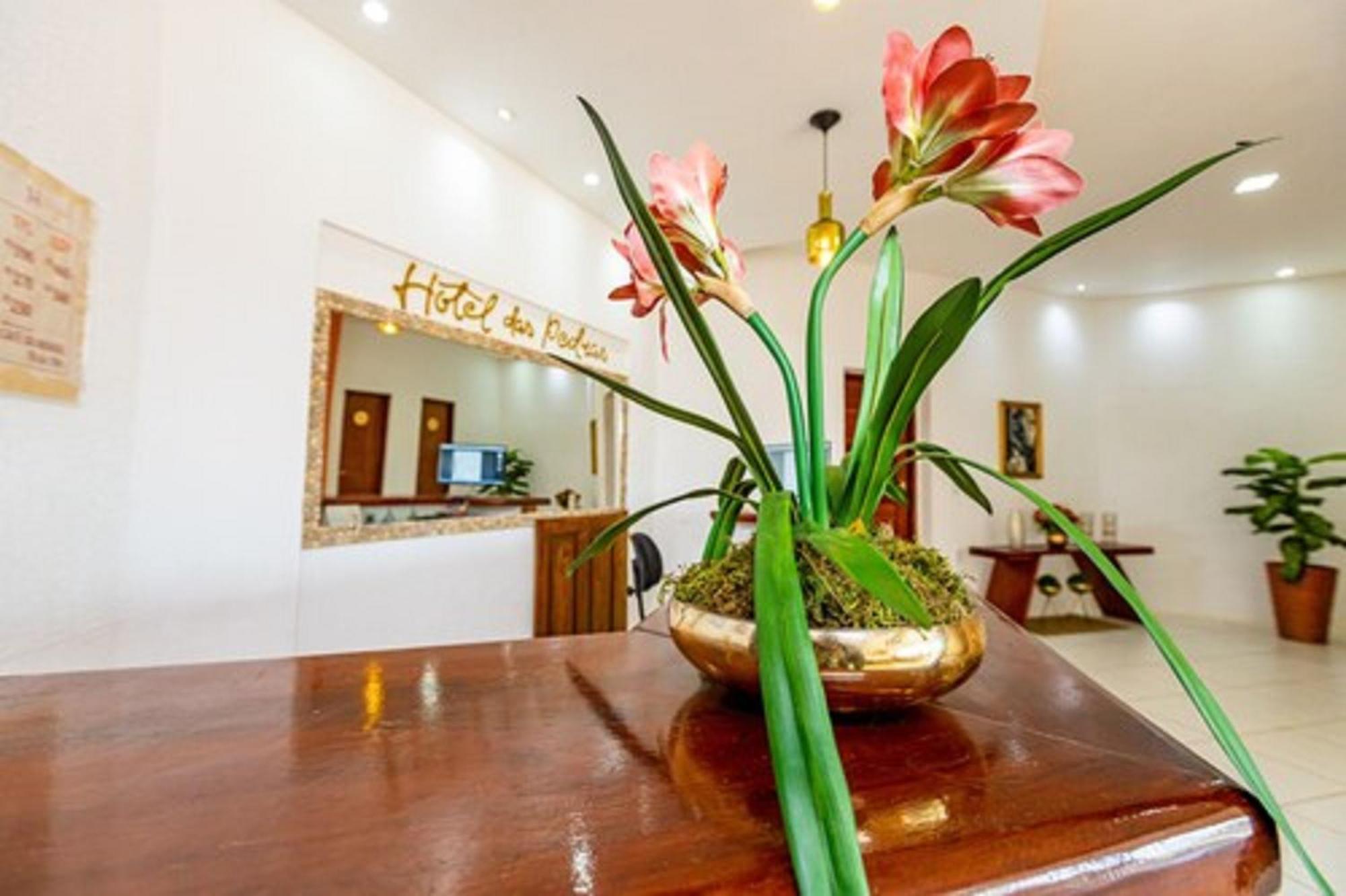 Oyo Hotel Das Pedras Parnaíba 外观 照片